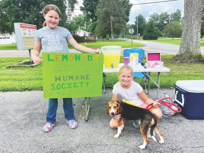 It’s going to the dogs: Marietta resident Autumn Hughes raises funds for HSOV | News, Sports, Jobs